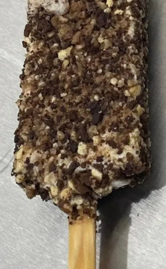 Freeze Dried Chocolate Eclair Ice Cream Bar