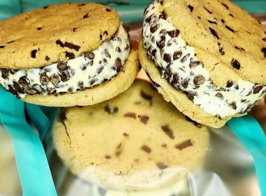 Freeze Dried Chocolate Chip Ice Cream Sandwich